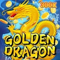 Exclusive Bonuses & Gifts